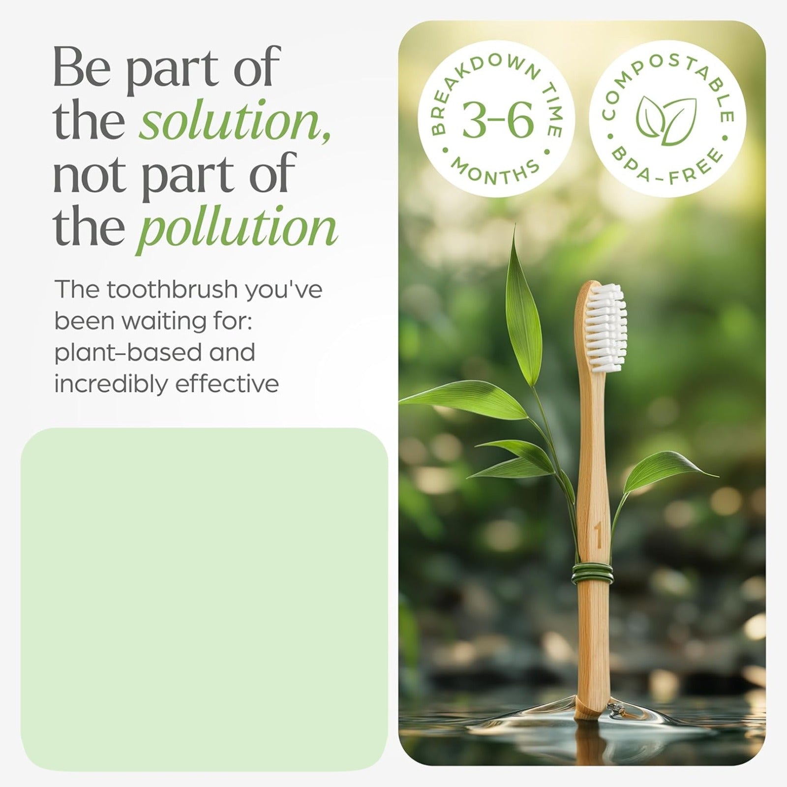 Women Bamboo Toothbrush Set Soft Bristles Eco Friendly Biodegradable (2 Pc)