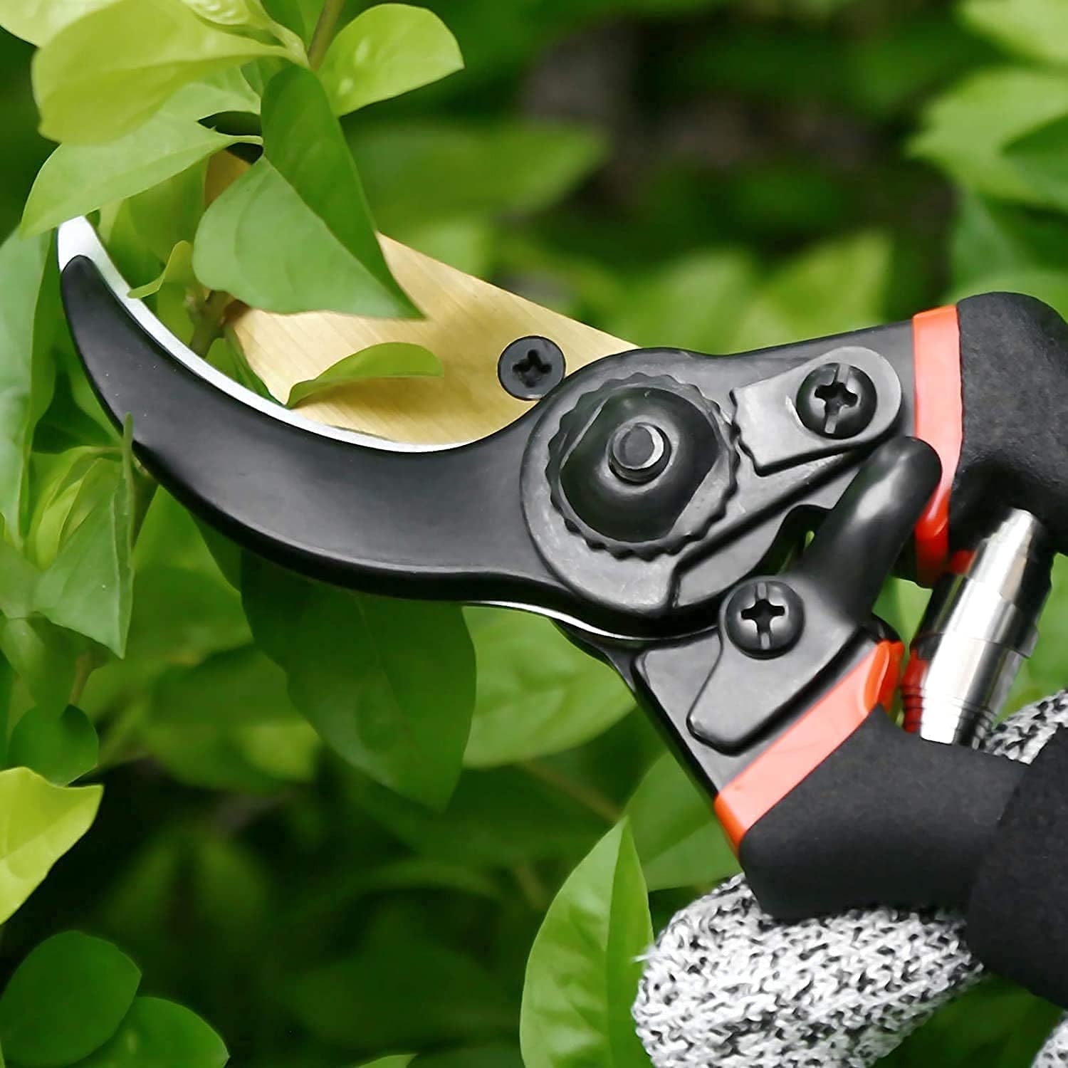 Garden Shear Stainless Steel 21 Cm Sharp Bypass Pruner for Plants (1 Pc)